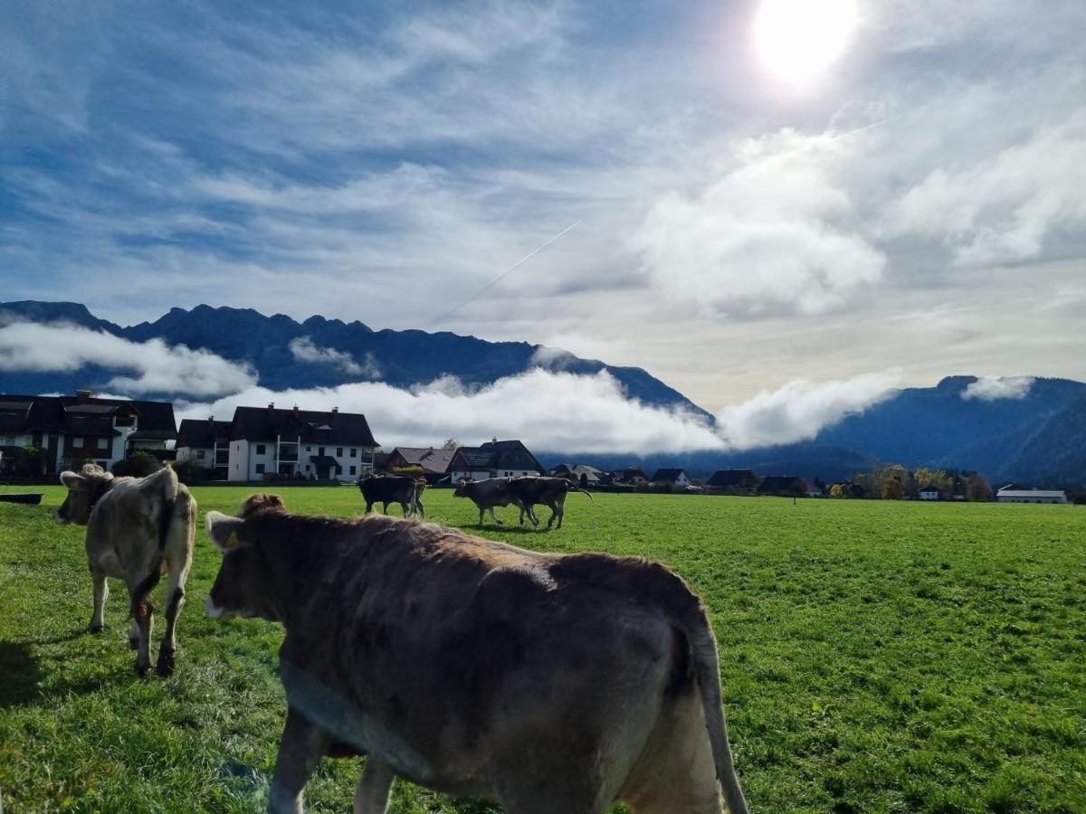 Urlaub Am Bauernhof Bei Familie Steinbrecher Бад-Миттерндорф Экстерьер фото